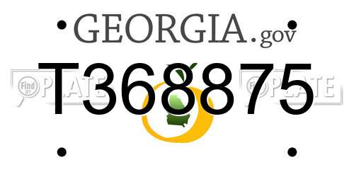 T368875 Georgia License Plate