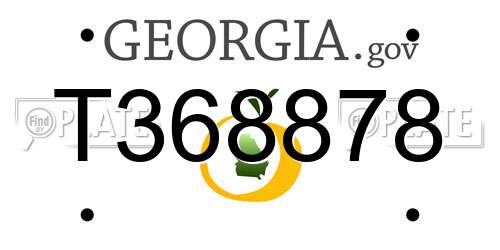 T368878 Georgia License Plate