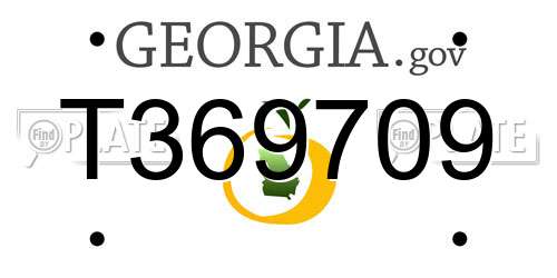 T369709 Georgia License Plate