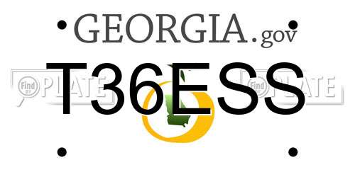 T36ESS Georgia License Plate