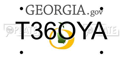 T36OYA Georgia License Plate