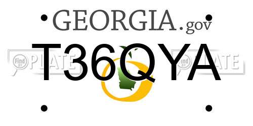 T36QYA Georgia License Plate