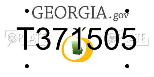 T371505 Georgia License Plate