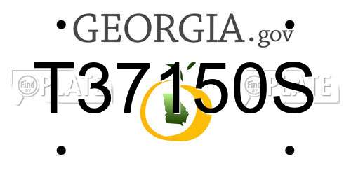 T37150S Georgia License Plate