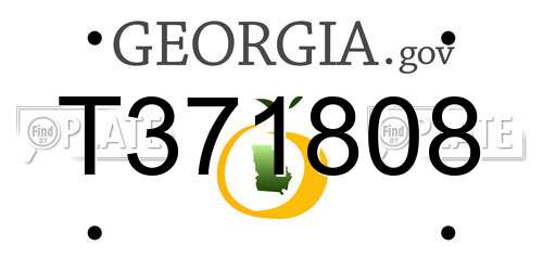 T371808 Georgia License Plate