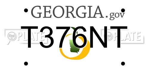 T376NT Georgia License Plate