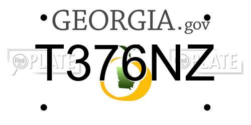 T376NZ Georgia License Plate