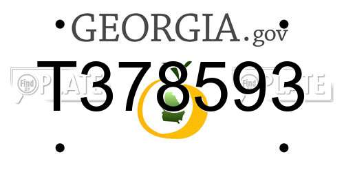 T378593 Georgia License Plate