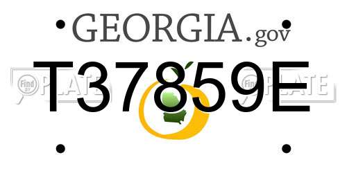 T37859E Georgia License Plate