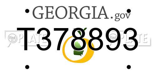 T378893 Georgia License Plate
