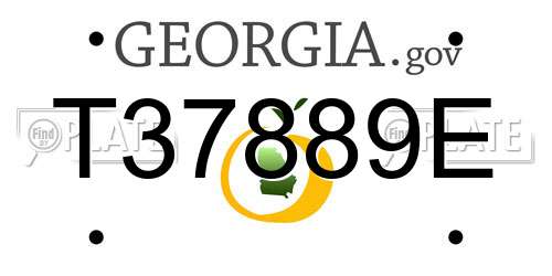 T37889E Georgia License Plate