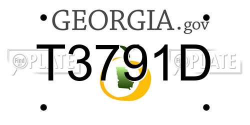 T3791D Georgia License Plate