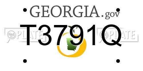 T3791Q Georgia License Plate