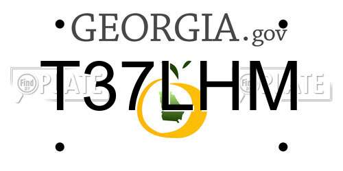 T37LHM Georgia License Plate