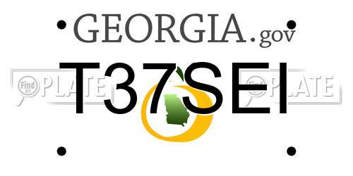 T37SEI Georgia License Plate