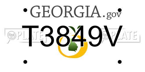 T3849V Georgia License Plate