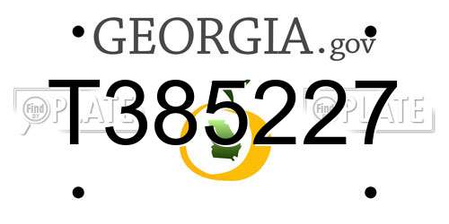 T385227 Georgia License Plate