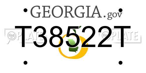 T38522T Georgia License Plate