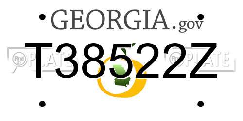 T38522Z Georgia License Plate