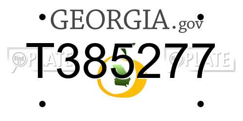 T385277 Georgia License Plate