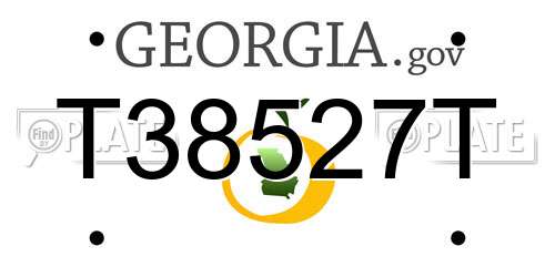 T38527T Georgia License Plate
