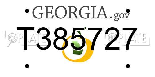 T385727 Georgia License Plate