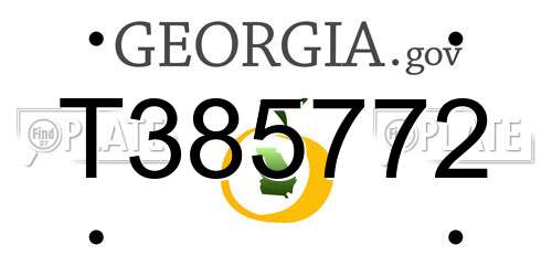 T385772 Georgia License Plate