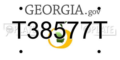 T38577T Georgia License Plate