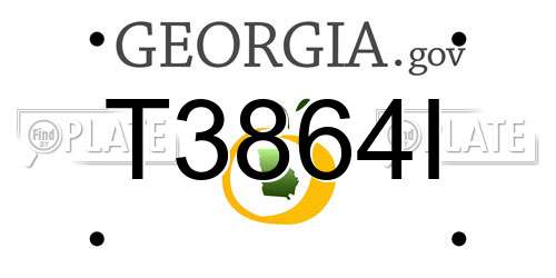 T3864I Georgia License Plate