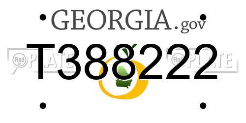 T388222 Georgia License Plate