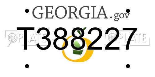 T388227 Georgia License Plate