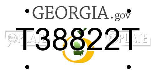 T38822T Georgia License Plate