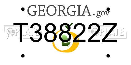 T38822Z Georgia License Plate