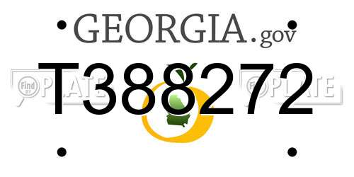 T388272 Georgia License Plate