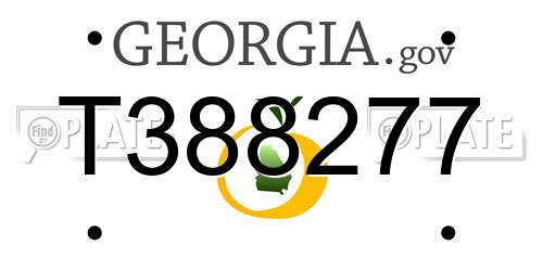 T388277 Georgia License Plate