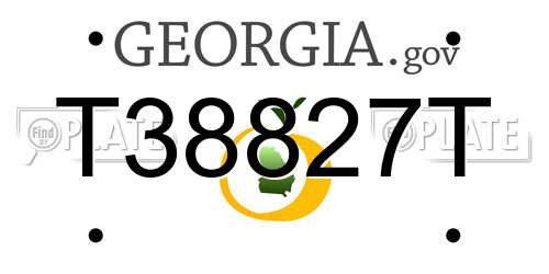 T38827T Georgia License Plate