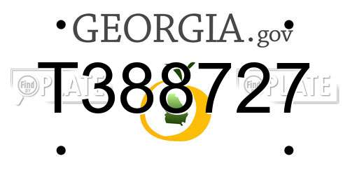 T388727 Georgia License Plate