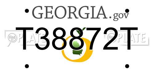 T38872T Georgia License Plate