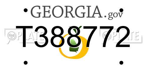 T388772 Georgia License Plate