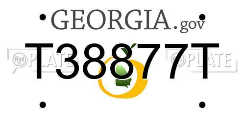 T38877T Georgia License Plate