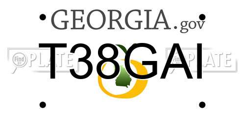 T38GAI Georgia License Plate