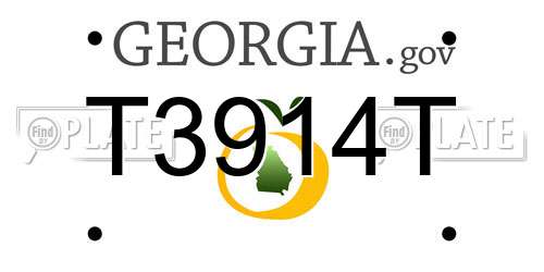 T3914T Georgia License Plate