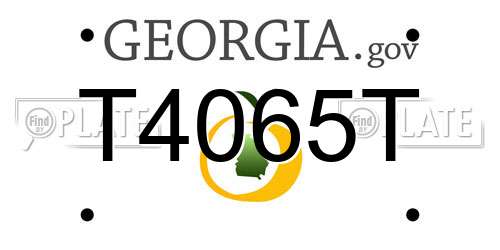 T4065T Georgia License Plate