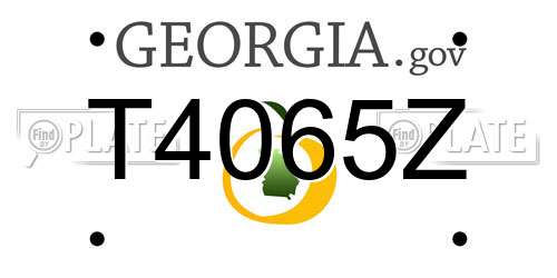 T4065Z Georgia License Plate