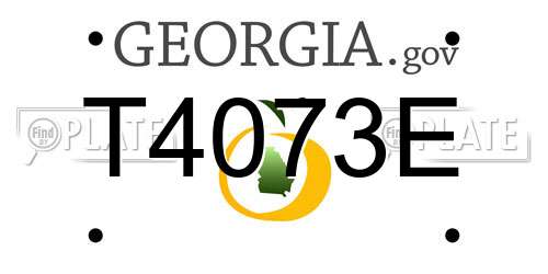 T4073E Georgia License Plate