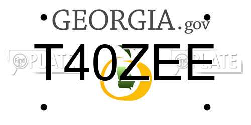 T40ZEE Georgia License Plate