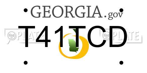 T41TCD Georgia License Plate
