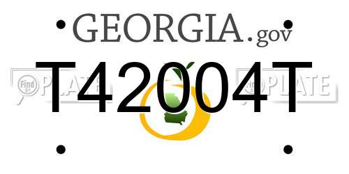 T42004T Georgia License Plate