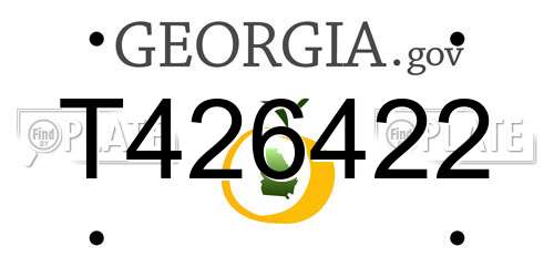 T426422 Georgia License Plate