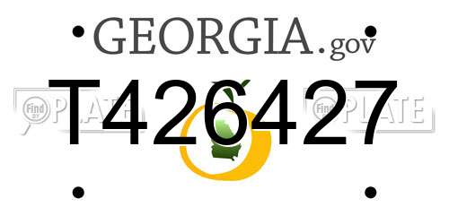 T426427 Georgia License Plate